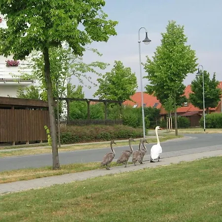With Castle View Apartment Wernigerode